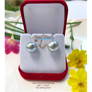 [ER88] Grey Button Freshwater Pearl Studs 