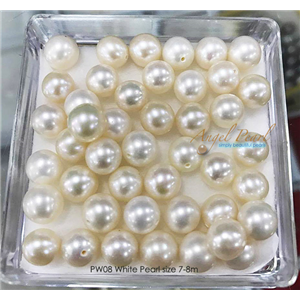 [PW08] White Freshwater Pearl 