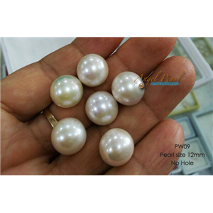[PW09] White Freshwater Pearl 